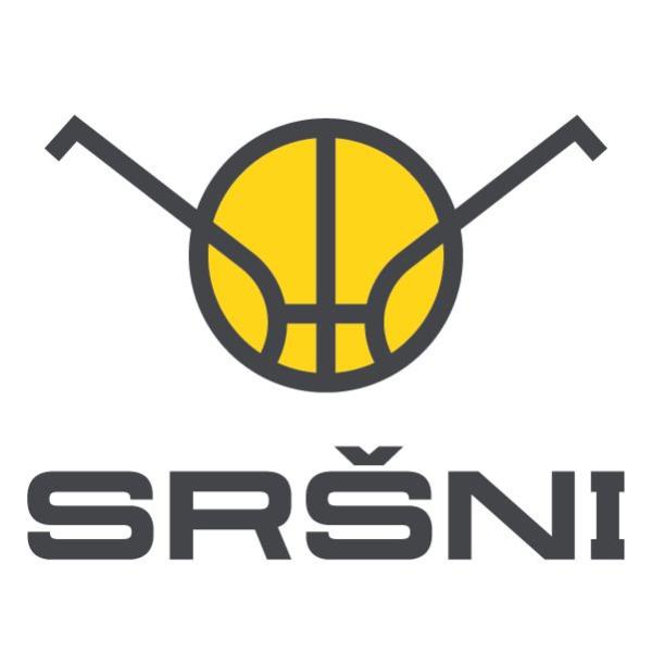 Sršni Photomate Písek – USK Praha