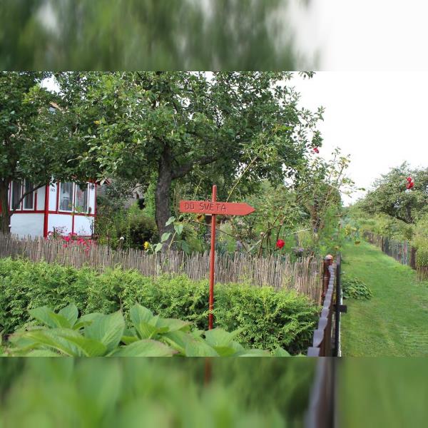 Procházka Zahrádkářskou osadou Ořechovka