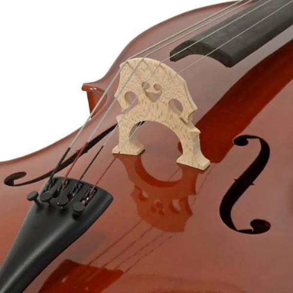 2. ABONENTNÍ KONCERT CYKLU M