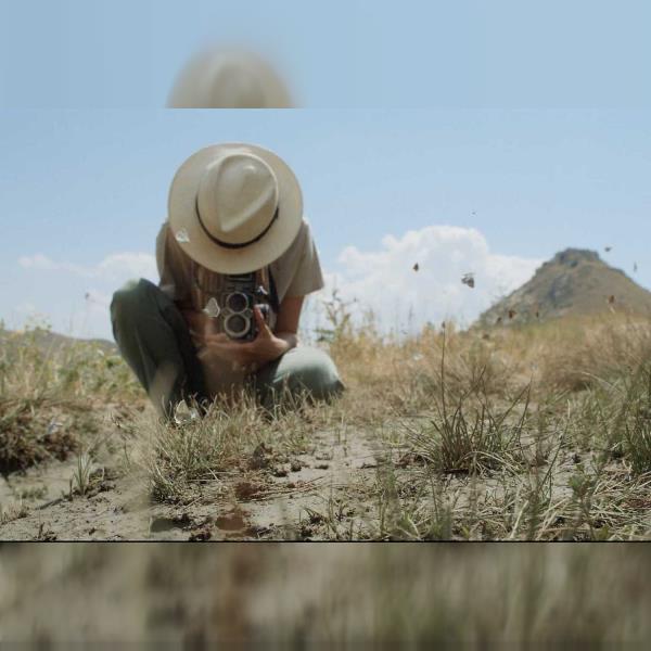 Pátrání po Satyrovi