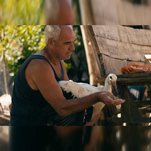 Příběh o Siljanovi