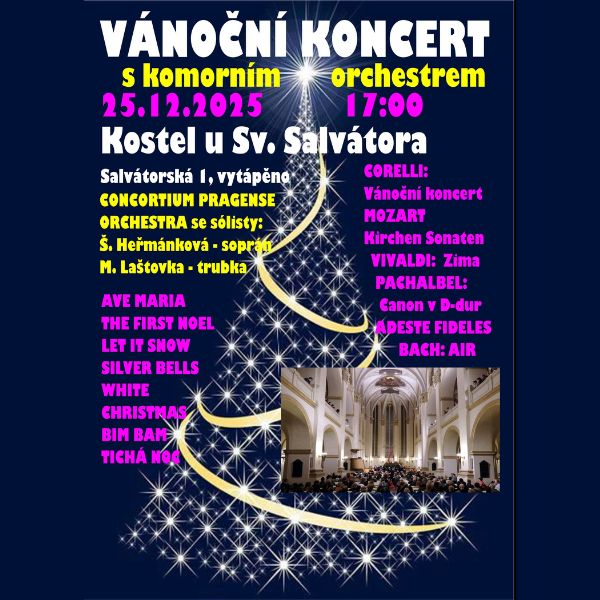 VÁNOČNÍ KONCERT s Consortium Pragense Orchestra