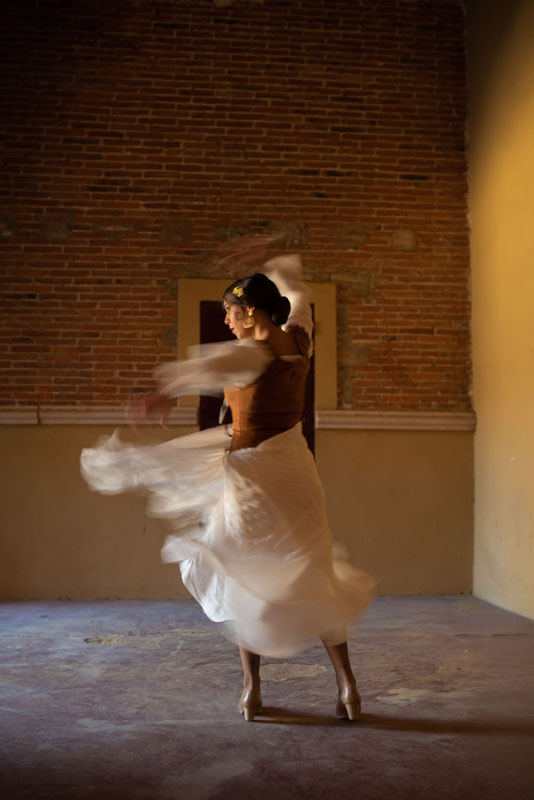 picture CARMEN - Barcelona Flamenco Ballet