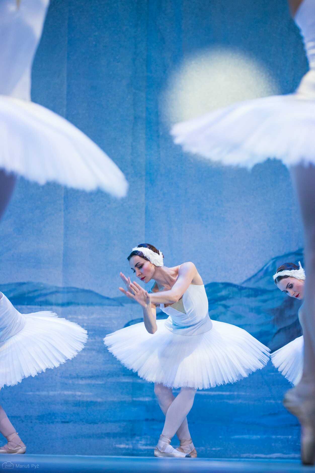 picture INTERNATIONAL FESTIVAL BALLET - balet “LABUTÍ JEZERO“