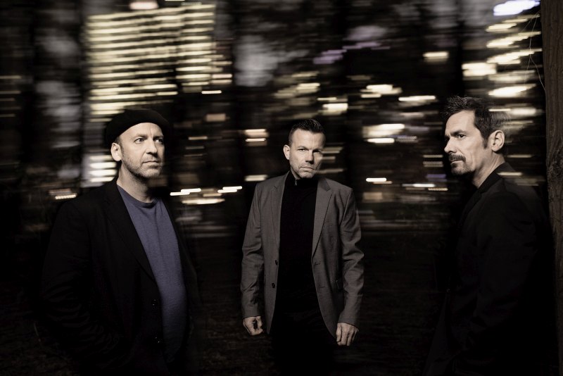 picture CAMOUFLAGE 2026