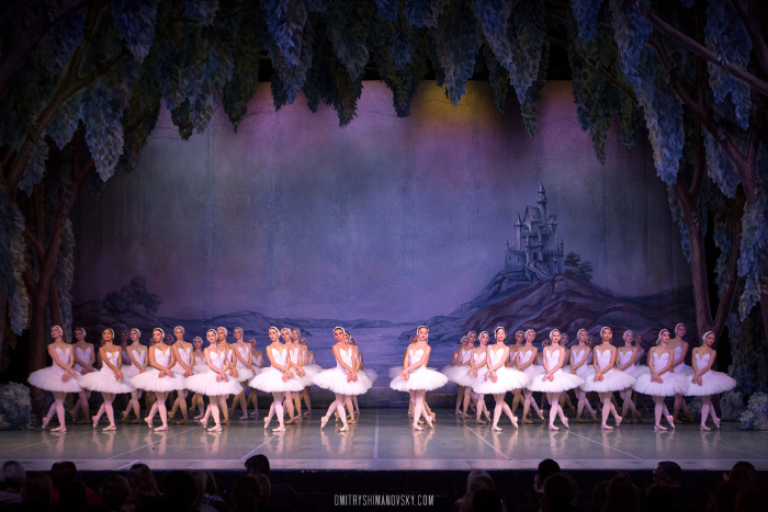 picture St. Petersburg Ballet - největší Labutí jezero