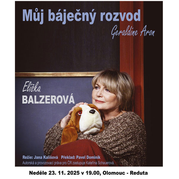 MŮJ BÁJEČNÝ ROZVOD