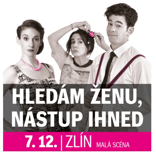 HLEDÁM ŽENU, NÁSTUP IHNED