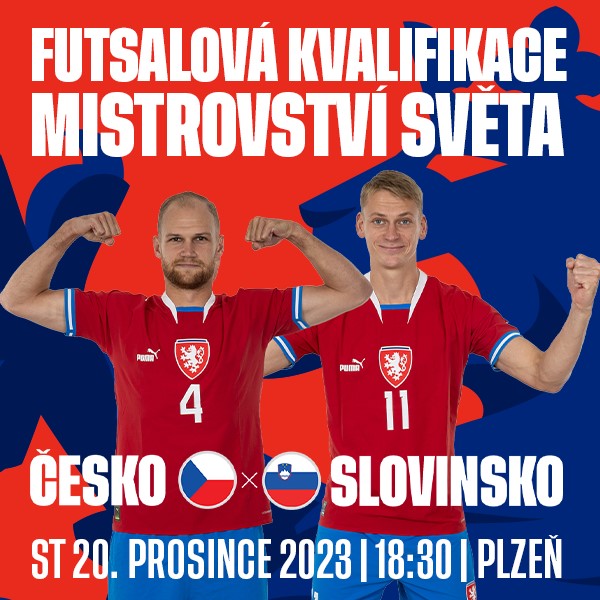 Česko - Slovinsko