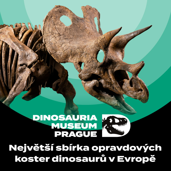 Dárkový voucher na roční kartu