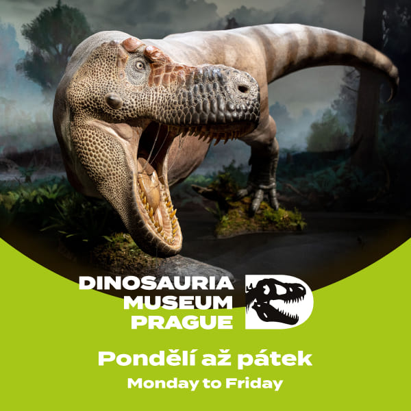 Dinosauria – všední den
