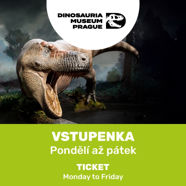 Dinosauria – všední den