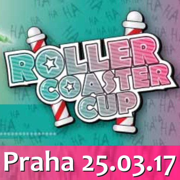 ROLLER COASTER CUP 2017