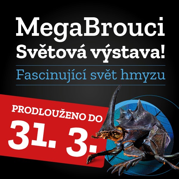 MegaBrouci - Fascinující svět hmyzu