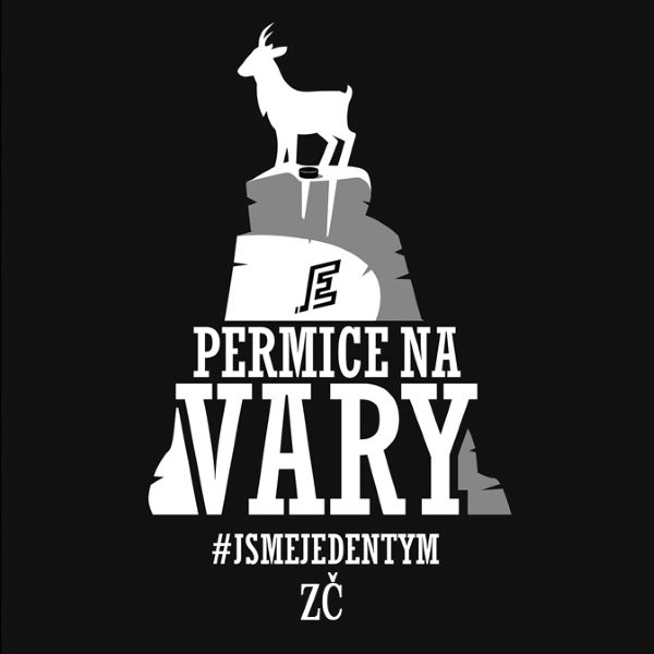 HC Energie Karlovy Vary – permanentka ZČ 2024/2025