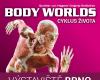 BODY WORLDS - CYKLUS ŽIVOTA - VIP OPEN TICKET