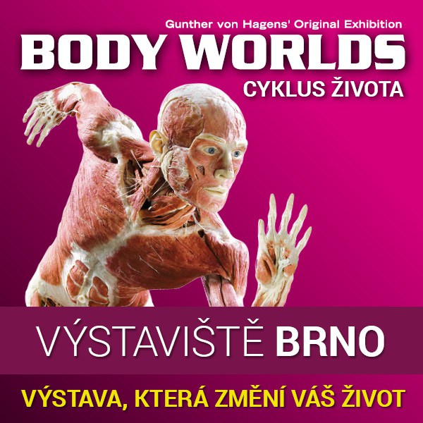 BODY WORLDS - CYKLUS ŽIVOTA - VIP OPEN TICKET