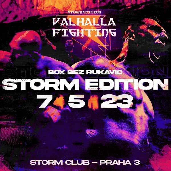 VALHALLA FIGHTING: STORM EDITION