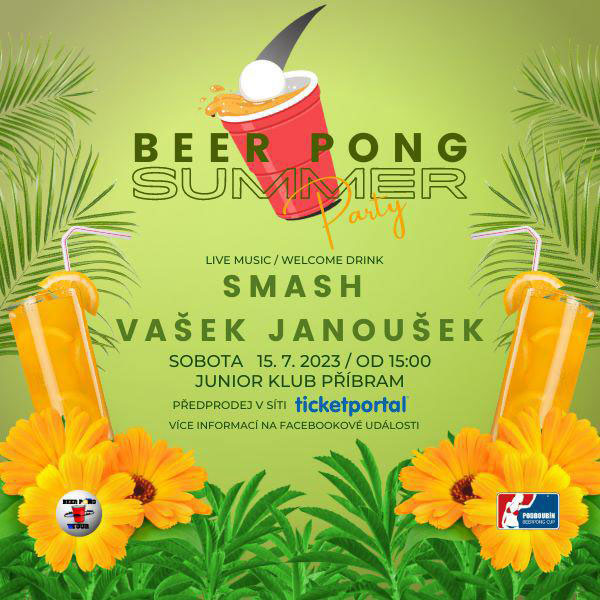 Beer Pong Summer Party