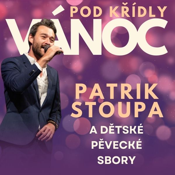 Patrik Stoupa: Pod křídly Vánoc