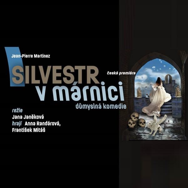 Silvestr v márnici