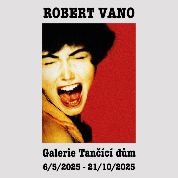 ROBERT VANO