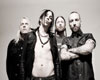 BACKYARD BABIES (SWE)