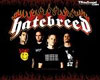 HATEBREED (USA) + support