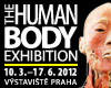 THE HUMAN BODY EXHIBITION