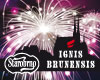 STAROBRNO-IGNIS BRUNENSIS - PANDA FIREWORKS China
