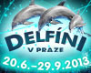 DELFÍNI V PRAZE
