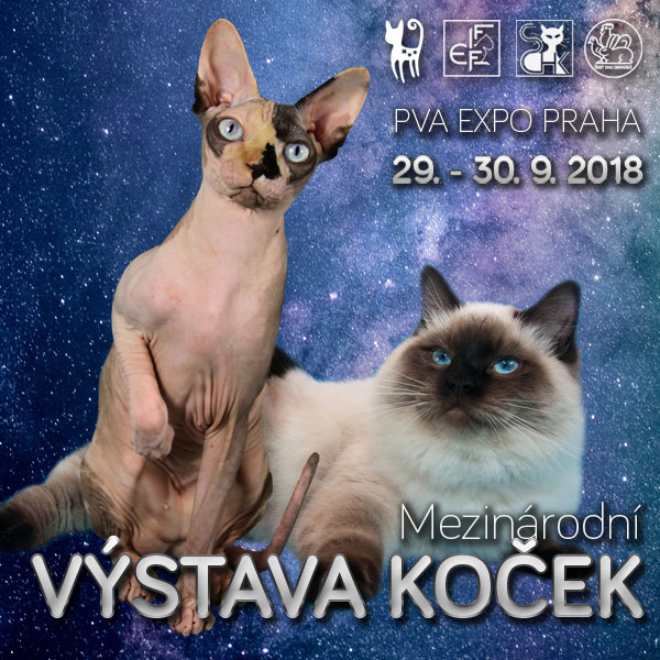 Mezinárodní výstava koček Star Cats Show
