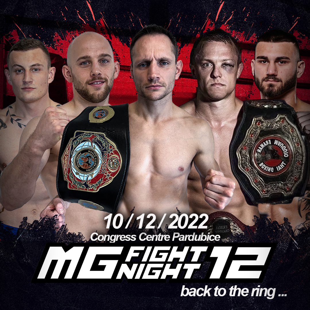 MG Fight Night 12