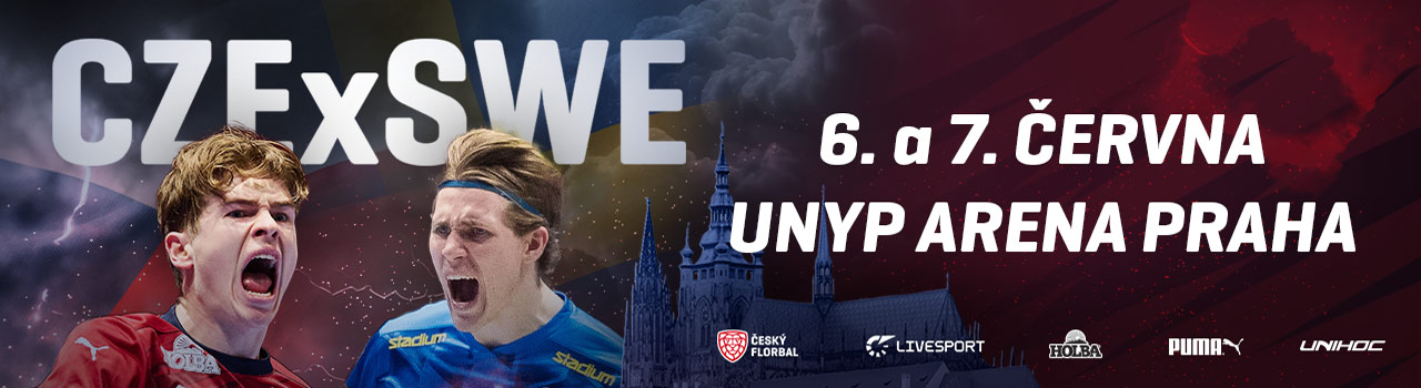 Přátelské zápasy ČR - SWE - ML