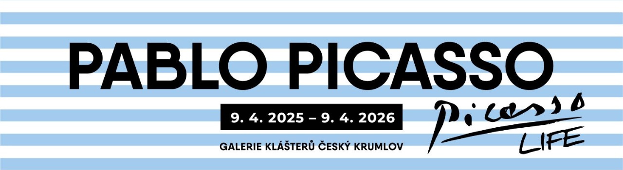 Picasso-DŠ